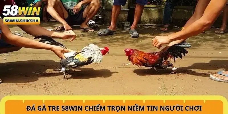 da-ga-tre-58win-chiem-tron-niem-tin-nguoi-choi
