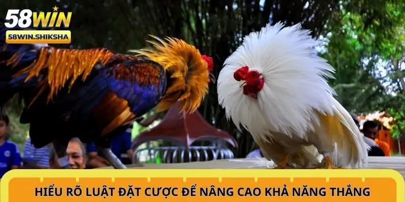 hieu-ro-luat-dat-cuoc-de-nang-cao-kha-nang-thang